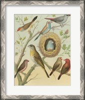 Framed Birdwatcher's Delight I