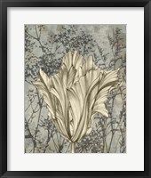Framed Tulip & Wildflowers V