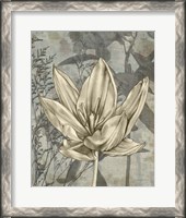 Framed Tulip & Wildflowers VI