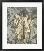 Framed Tulip & Wildflowers VII