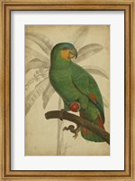 Framed Parrot and Palm I