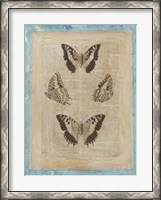 Framed Bookplate Butterflies II