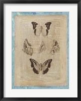 Bookplate Butterflies IV Framed Print