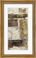 Framed Birch Bark Abstract II