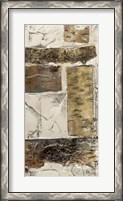 Framed Birch Bark Abstract II