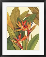 Framed Tropical Bird of Paradise