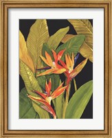 Framed Dramatic Bird of Paradise