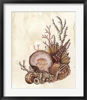 Baroque Nautilus I Framed Print