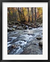 Porter's Creek I Framed Print