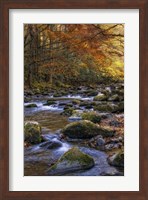 Framed Autumn on Little River