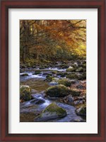 Framed Autumn on Little River