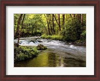 Framed Sunlight on Jake's Creek I