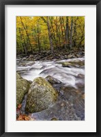 Framed Roaring Waters I