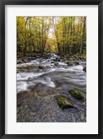 Roaring Waters II Framed Print