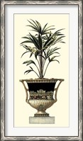 Framed Elegant Urn with Foliage I