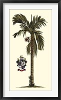 Framed Elongated Exotic Palm II