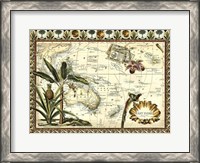 Framed Tropical Map of East Indies