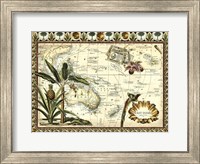 Framed Tropical Map of East Indies