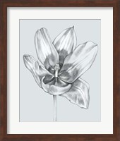 Framed Silvery Blue Tulips II