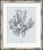 Framed Silvery Blue Tulips III