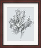 Framed Silvery Blue Tulips III