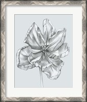 Framed Silvery Blue Tulips IV