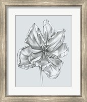 Framed Silvery Blue Tulips IV