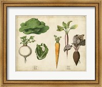 Framed Kitchen Vegetables & Roots I