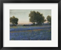 Blue Bonnet Field II Framed Print