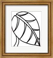 Framed Sprout I