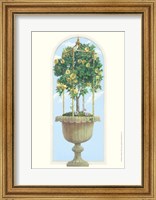 Framed Roses & Obelisk