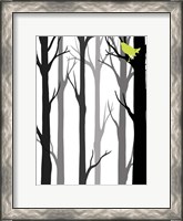 Framed Forest Silhouette II