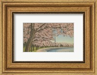 Framed Wash. Monument & Cherry Blossoms