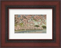 Framed Cherry Blossom Time