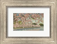 Framed Cherry Blossom Time