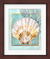 Framed Scallop Shell and Coral