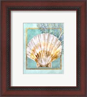Framed 'Scallop Shell and Coral' border=