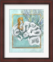 Framed Coral and Seahorse