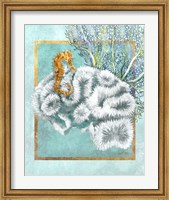 Framed Coral and Seahorse