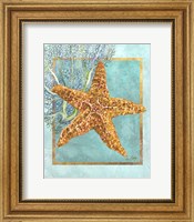 Framed Starfish and Coral