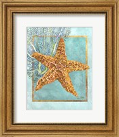 Framed 'Starfish and Coral' border=
