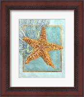 Framed Starfish and Coral