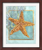 Framed Starfish and Coral