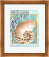 Framed 'Nautilus Shell and Coral' border=