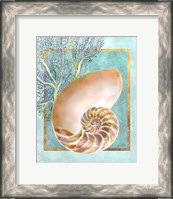 Framed 'Nautilus Shell and Coral' border=