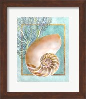 Framed 'Nautilus Shell and Coral' border=