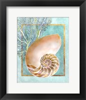 Framed Nautilus Shell and Coral