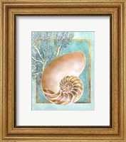 Framed Nautilus Shell and Coral