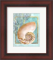 Framed Nautilus Shell and Coral