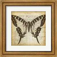 Framed Carte Postale Butterfly I